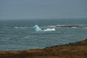 dsc_4836b